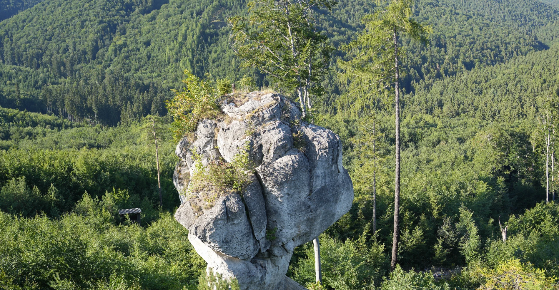 Widok na Zagubiony budzogajń