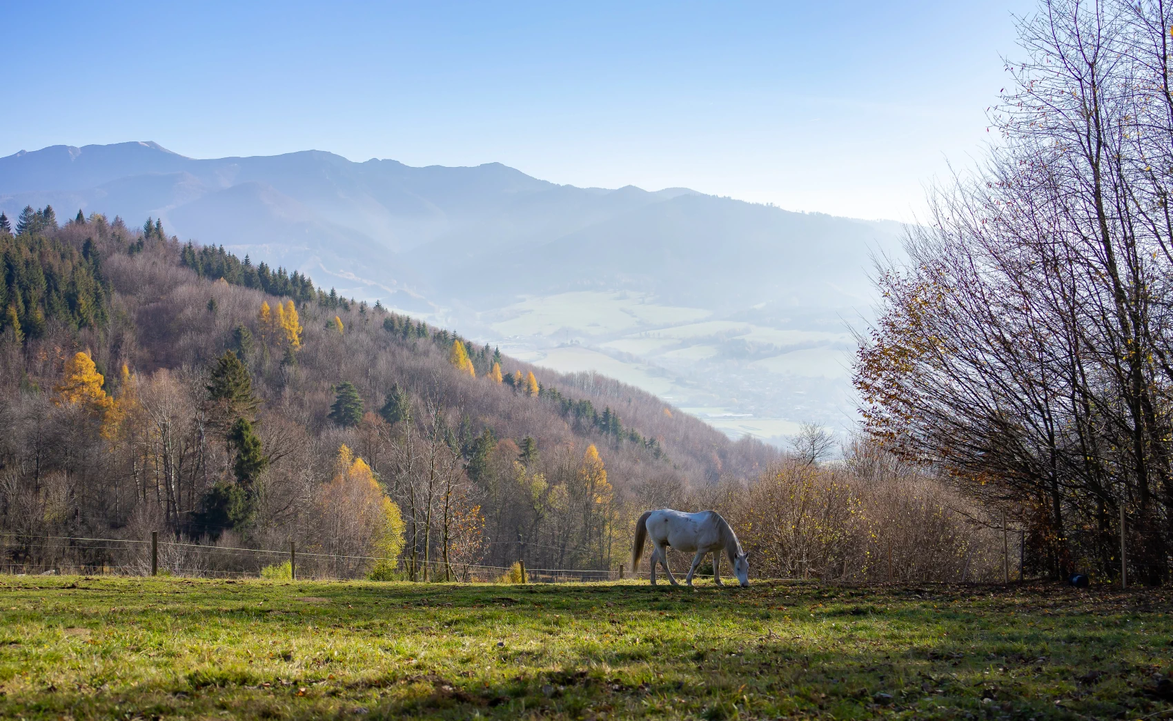 widok na Małą Fatrę widok na Małą Fatrę