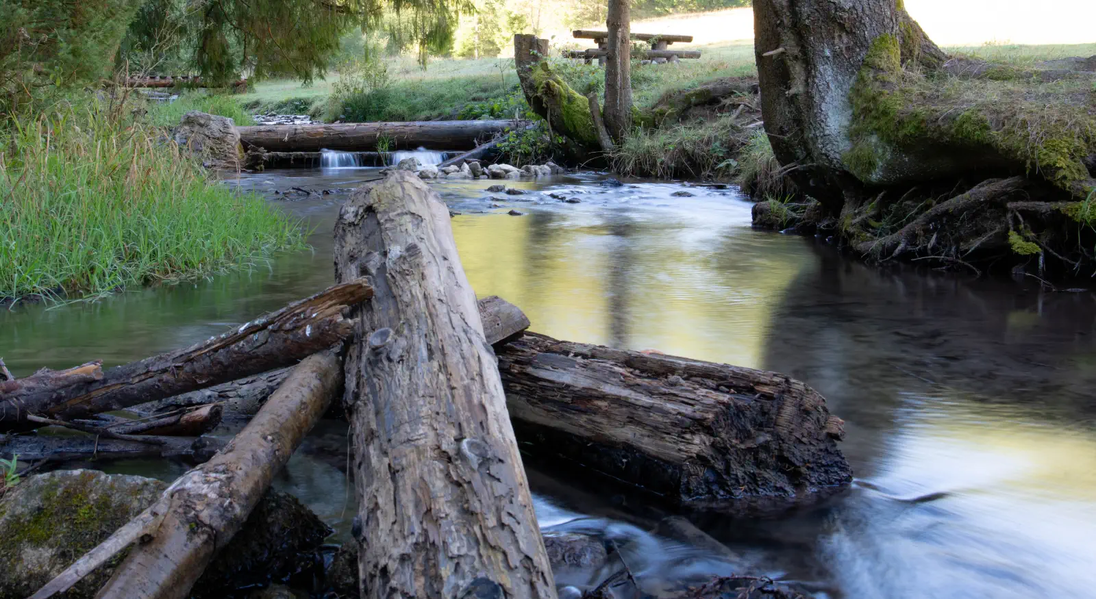 Čutkovský Bach Der Weg führt am Bach und an Ruhebänken vorbei