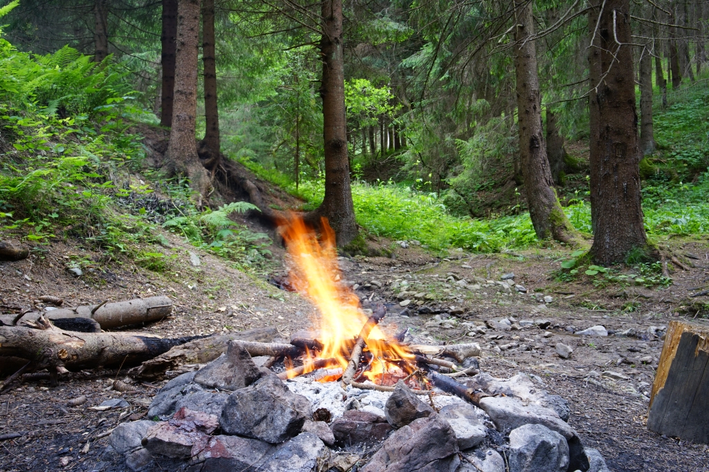 Campfire in nature