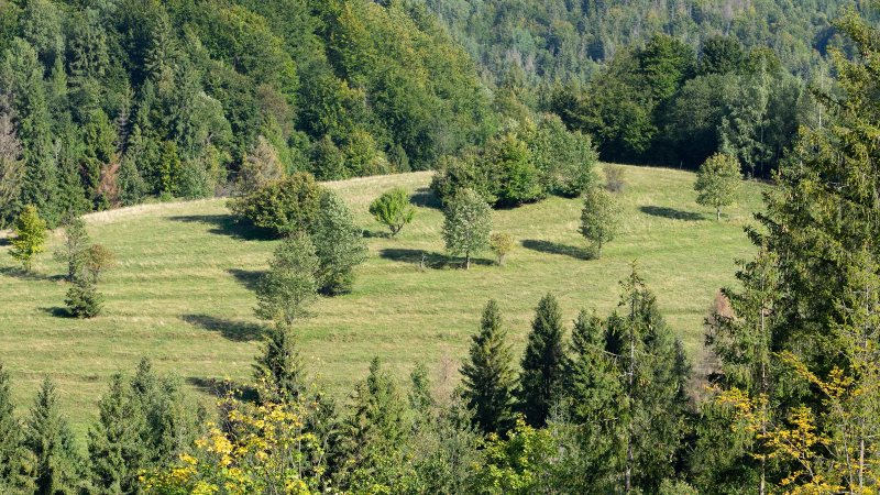 Lutiše a okolí