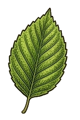 Pytanie
