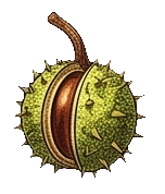 Odpowiedź