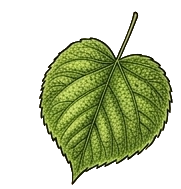 Odpowiedź