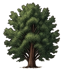 Pytanie